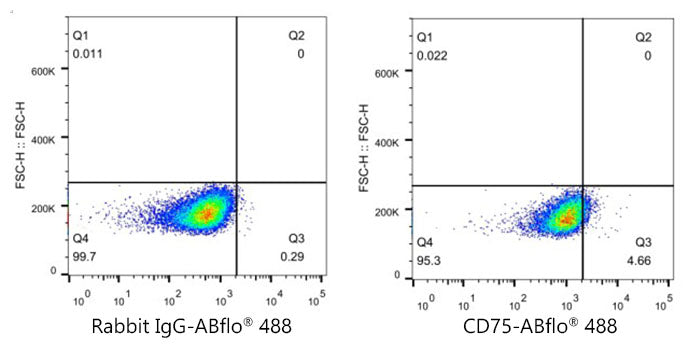 ABflo® 488 Rabbit anti-Human CD75 mAb