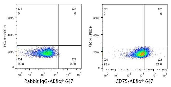 ABflo® 647 Rabbit anti-Human CD75 mAb