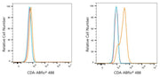 ABflo® 488 Rabbit anti-Human CDA mAb