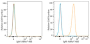 ABflo® 488 Rabbit anti-Human/Monkey IgM mAb