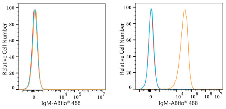 ABflo® 488 Rabbit anti-Human/Monkey IgM mAb