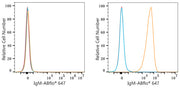 ABflo® 647 Rabbit anti-Human/Monkey IgM mAb