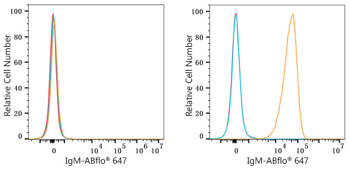 ABflo® 647 Rabbit anti-Human/Monkey IgM mAb