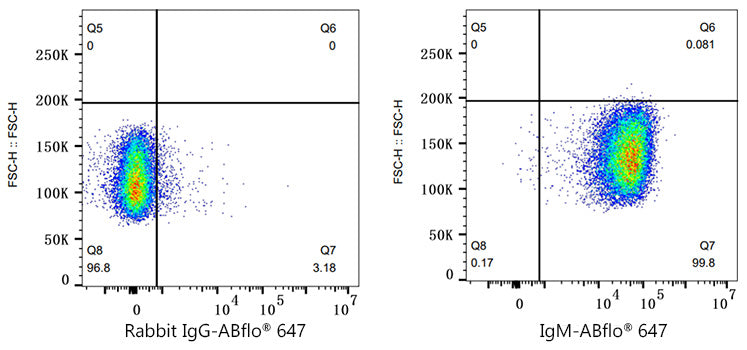 ABflo® 647 Rabbit anti-Human/Monkey IgM mAb