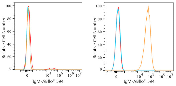 ABflo® 594 Rabbit anti-Human/Monkey IgM mAb