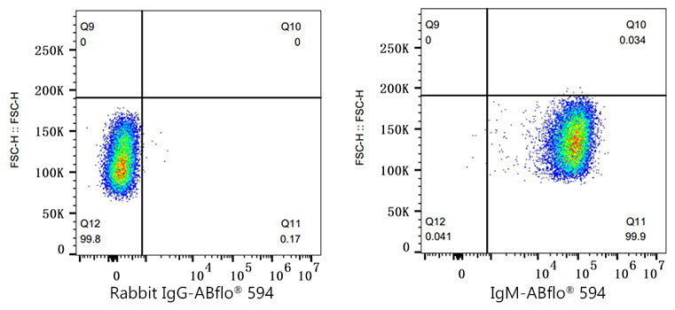 ABflo® 594 Rabbit anti-Human/Monkey IgM mAb