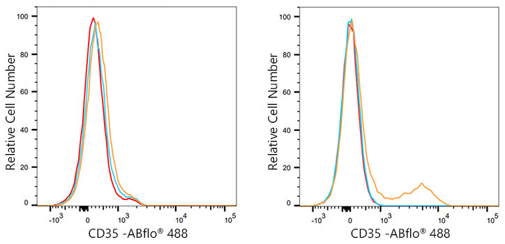 ABflo® 488 Rabbit anti-Human CD35 mAb