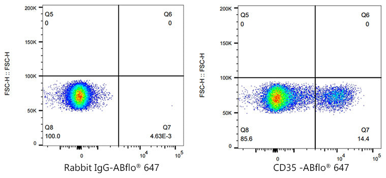 ABflo® 647 Rabbit anti-Human CD35 mAb