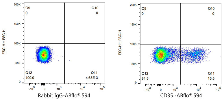 ABflo® 594 Rabbit anti-Human CD35 mAb