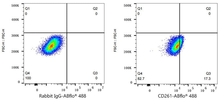 ABflo® 488 Rabbit anti-Human CD261/TRAIL-R1 mAb