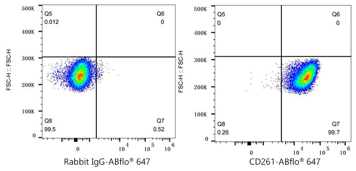ABflo® 647 Rabbit anti-Human CD261/TRAIL-R1 mAb