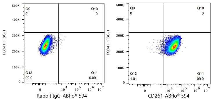 ABflo® 594 Rabbit anti-Human CD261/TRAIL-R1 mAb