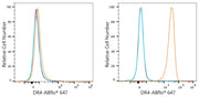 DR4 Rabbit mAb