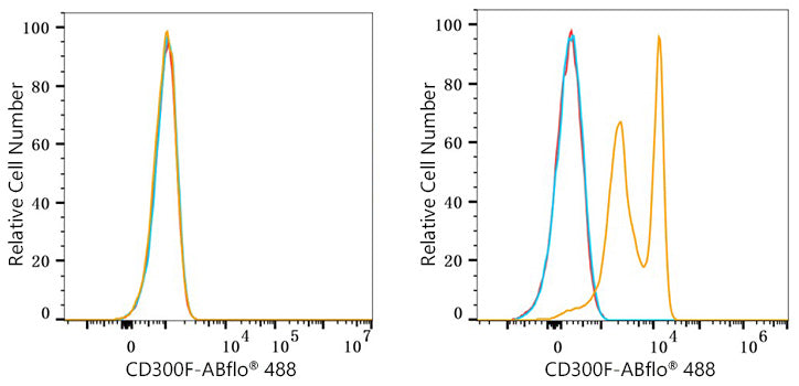 ABflo® 488 Rabbit anti-Human CD300F/IREM-1 mAb