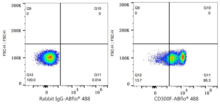 ABflo® 488 Rabbit anti-Human CD300F/IREM-1 mAb