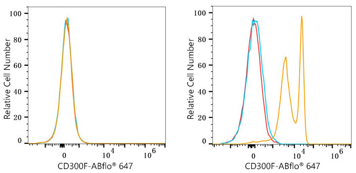 ABflo® 647 Rabbit anti-Human CD300F/IREM-1 mAb