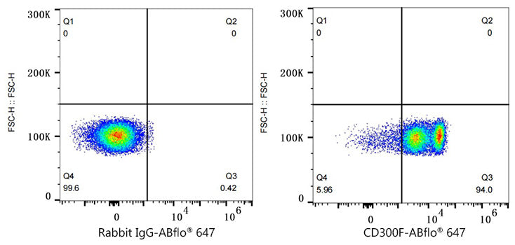 ABflo® 647 Rabbit anti-Human CD300F/IREM-1 mAb