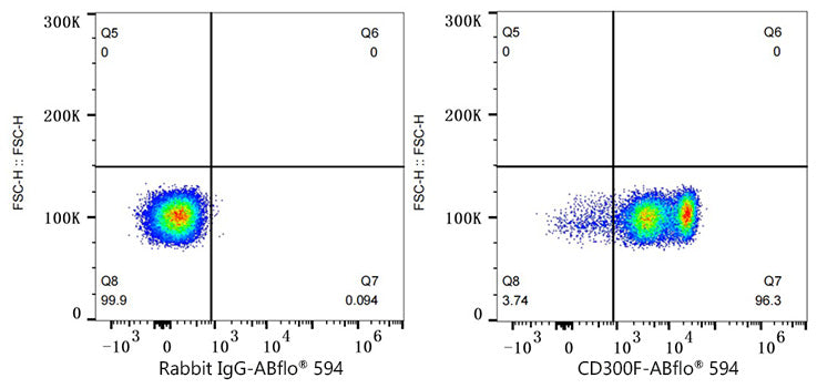 ABflo® 594 Rabbit anti-Human CD300F/IREM-1 mAb