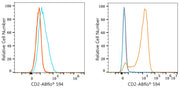 ABflo® 594 Rabbit anti-Human CD2 mAb