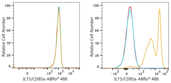 ABflo® 488 Rabbit anti-Human ILT5/CD85a mAb