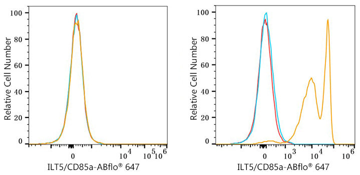 ABflo® 647 Rabbit anti-Human ILT5/CD85a mAb