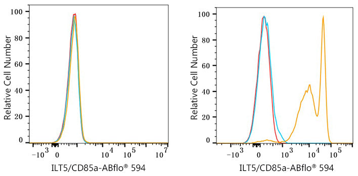 ABflo® 594 Rabbit anti-Human ILT5/CD85a mAb