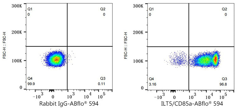 ABflo® 594 Rabbit anti-Human ILT5/CD85a mAb