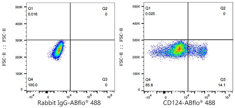ABflo® 488 Rabbit anti-Mouse CD124/IL-4Ra mAb