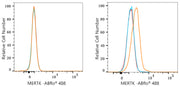ABflo® 488 Rabbit anti-Human MERTK mAb