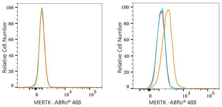 ABflo® 488 Rabbit anti-Human MERTK mAb