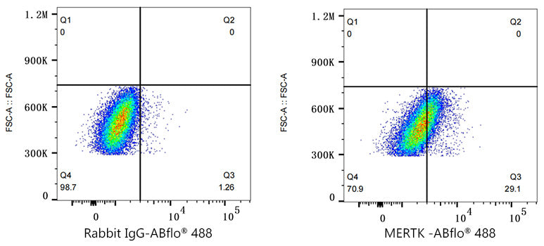 ABflo® 488 Rabbit anti-Human MERTK mAb