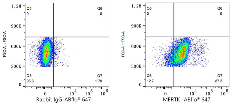 ABflo® 647 Rabbit anti-Human MERTK mAb