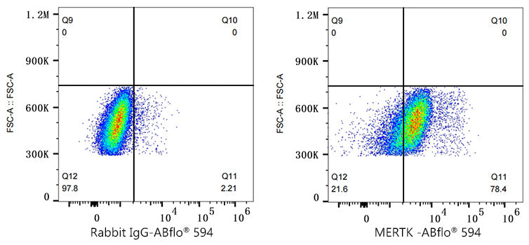 ABflo® 594 Rabbit anti-Human MERTK mAb