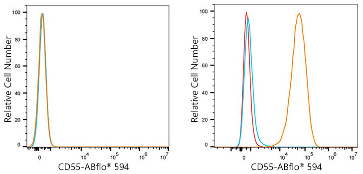 ABflo® 594 Rabbit anti-Human CD55 mAb