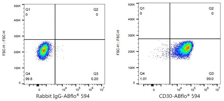 ABflo® 594 Rabbit anti-Human CD30 mAb