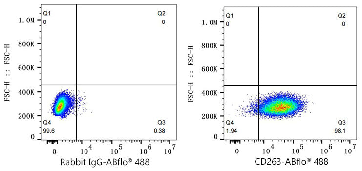 ABflo® 488 Rabbit anti-Human CD263/TRAIL-R3 mAb