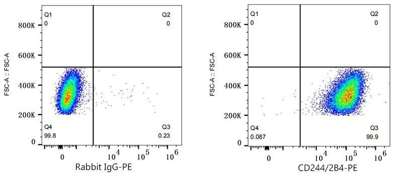 PE Rabbit anti-Human CD244/2B4 mAb