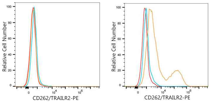 PE Rabbit anti-Mouse CD262/TRAILR2 mAb