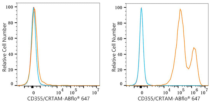 CD355/CRTAM Rabbit mAb