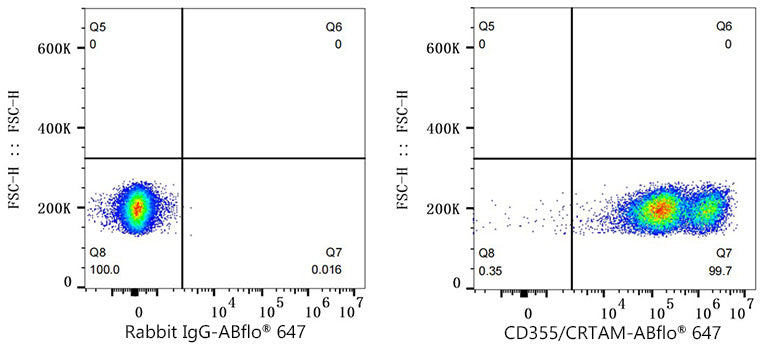 CD355/CRTAM Rabbit mAb