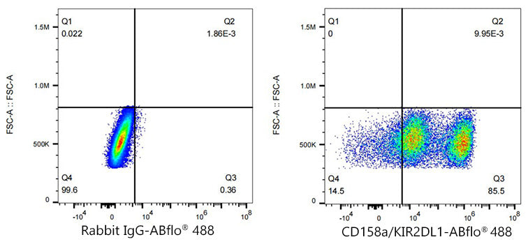 ABflo® 488 Rabbit anti-Human CD158a/KIR2DL1 mAb