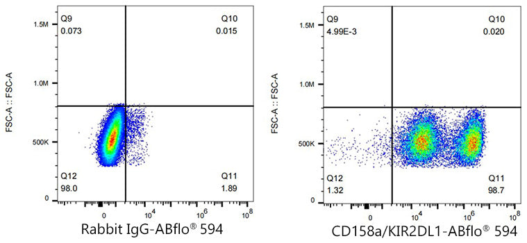 ABflo® 594 Rabbit anti-Human CD158a/KIR2DL1 mAb
