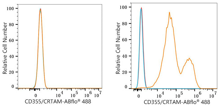 ABflo® 488 Rabbit anti-Human CD355/CRTAM mAb