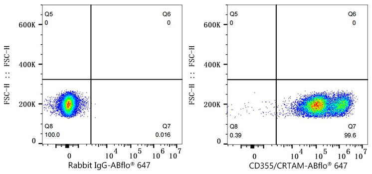 ABflo® 647 Rabbit anti-Human CD355/CRTAM mAb
