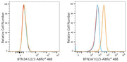 ABflo® 488 Rabbit anti-Human BTN3A1/2/3 mAb