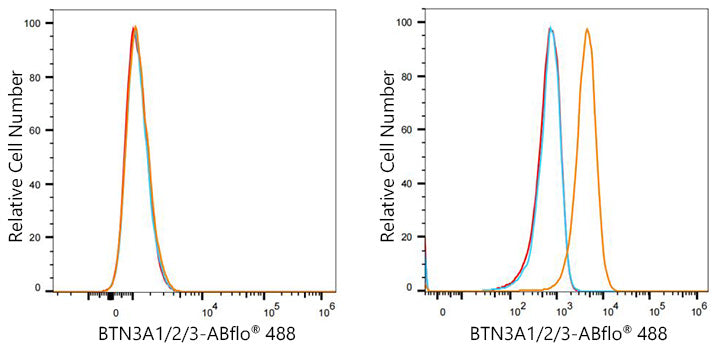 ABflo® 488 Rabbit anti-Human BTN3A1/2/3 mAb