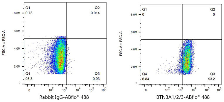 ABflo® 488 Rabbit anti-Human BTN3A1/2/3 mAb
