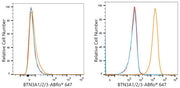 ABflo® 647 Rabbit anti-Human BTN3A1/2/3 mAb