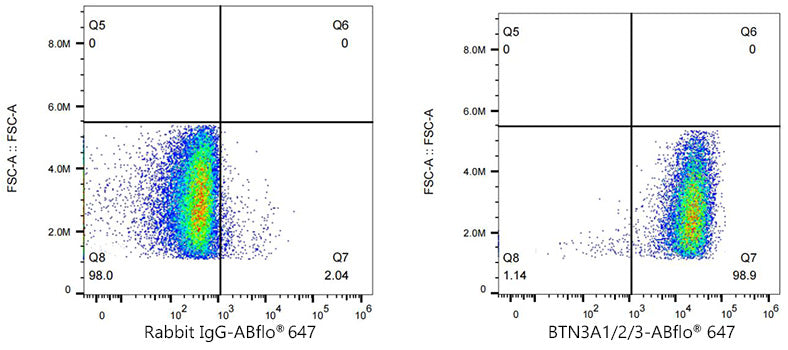 ABflo® 647 Rabbit anti-Human BTN3A1/2/3 mAb