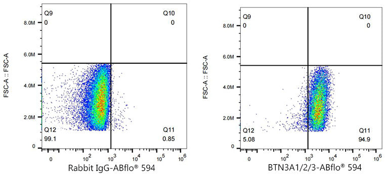 ABflo® 594 Rabbit anti-Human BTN3A1/2/3 mAb